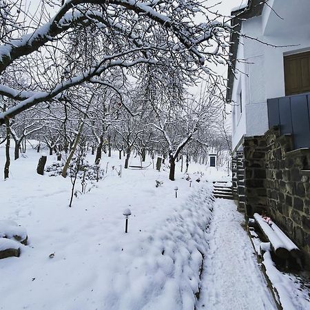 Almas Tanya Vendeghaz Villa Szuha Dış mekan fotoğraf